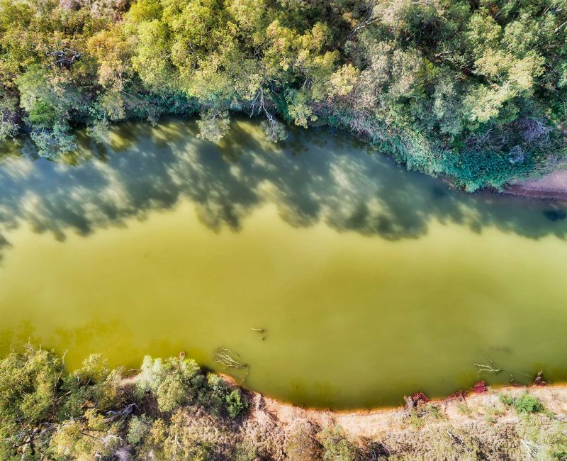 An overhead, aerial view of a river or waterway flowing through a natural environment.