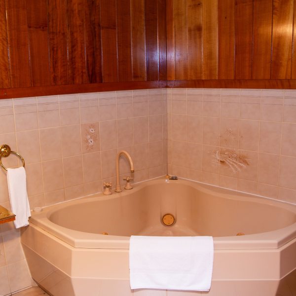 A large, corner-fitted spa or jacuzzi tub with an off-white or cream-colored basin is set against a tiled wall.