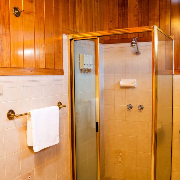 A shower stall with a brass or gold-colored framed glass enclosure and a sliding door.