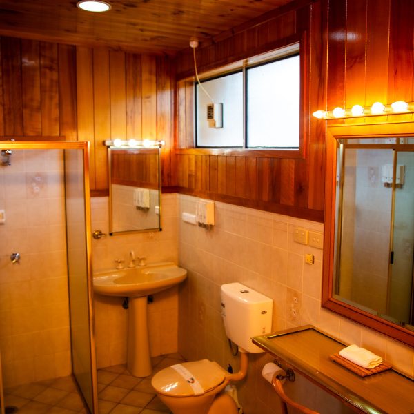 Nandewar Motor Inn bathroom with an abundance of warm-toned wood paneling on the walls and ceiling.
