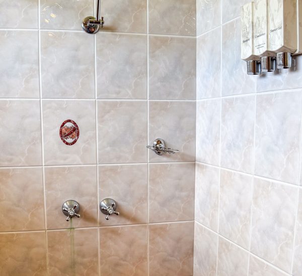 A shower stall tiled with large, square, light beige/cream marbled tiles and thin white grout.